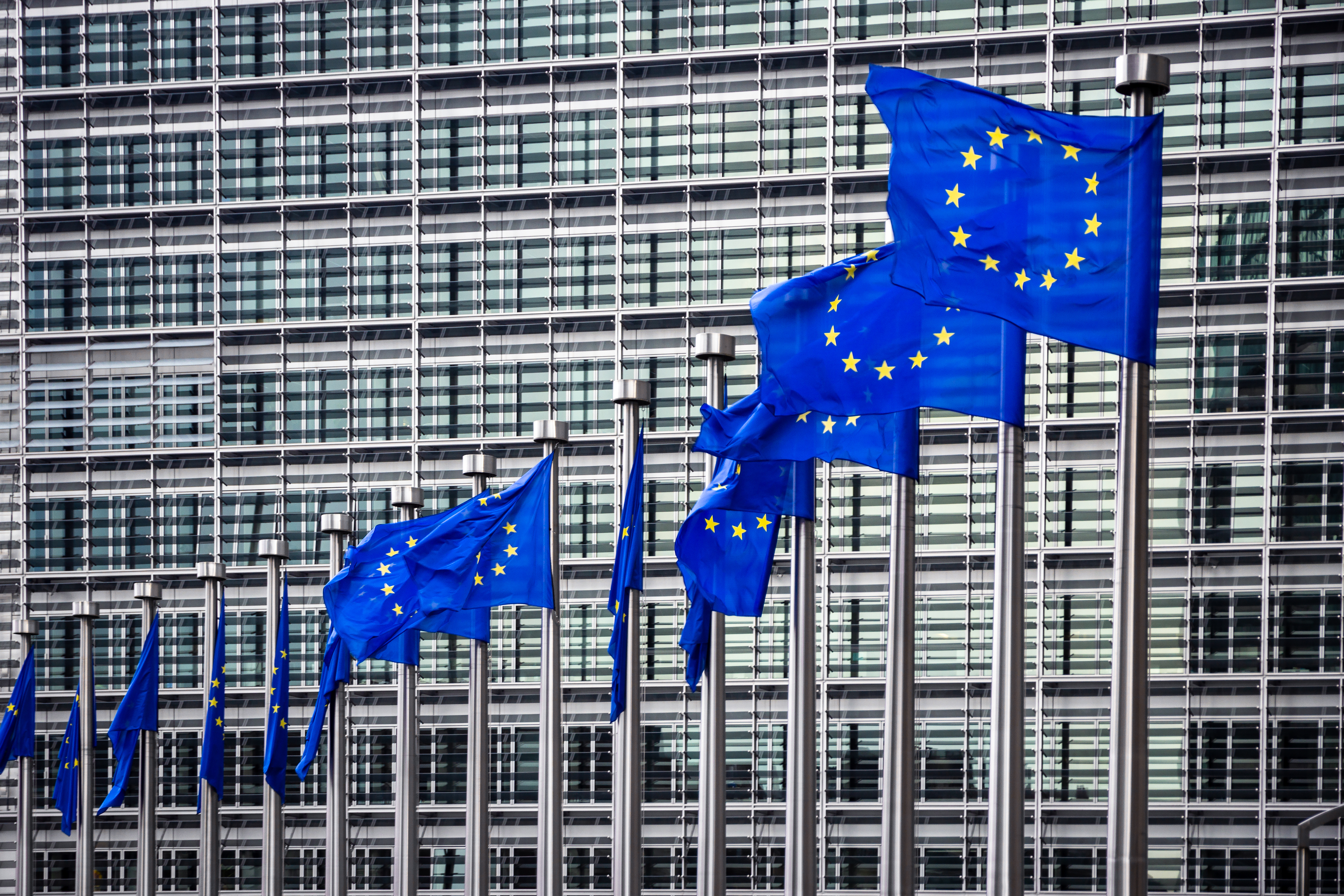 Санкциям евросоюза против россии. Швейцария Евросоюз. Санкции ЕС. Евросоюз флаги и здания. Флаг ЕС на здании.