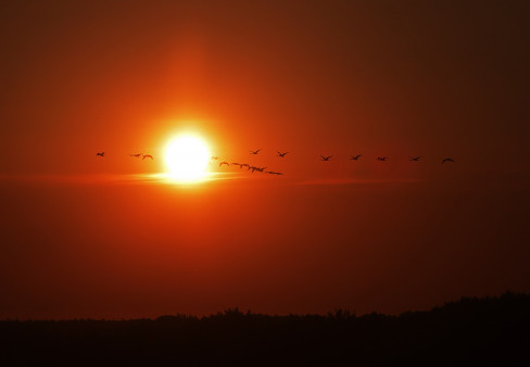 vrućina, sunce, 20. 6. 2021.