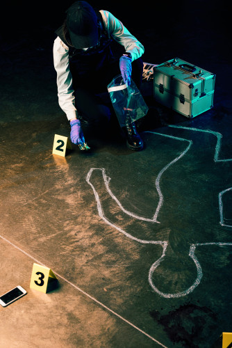 Scena zločina, ubistvo, istraga, dokazi