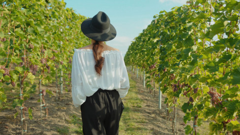 vinograd