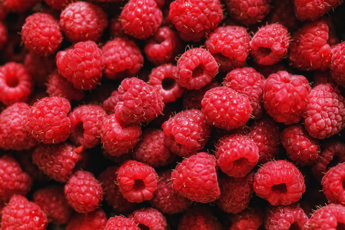 Maline 