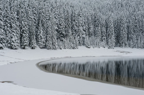 sneg, planina, zima, durmitor