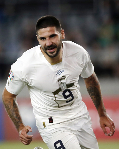aleksandar mitrovic