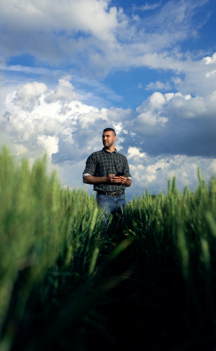 mladi farmer, zemljoradnik