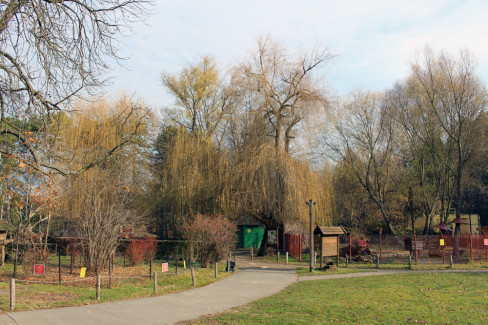palić 